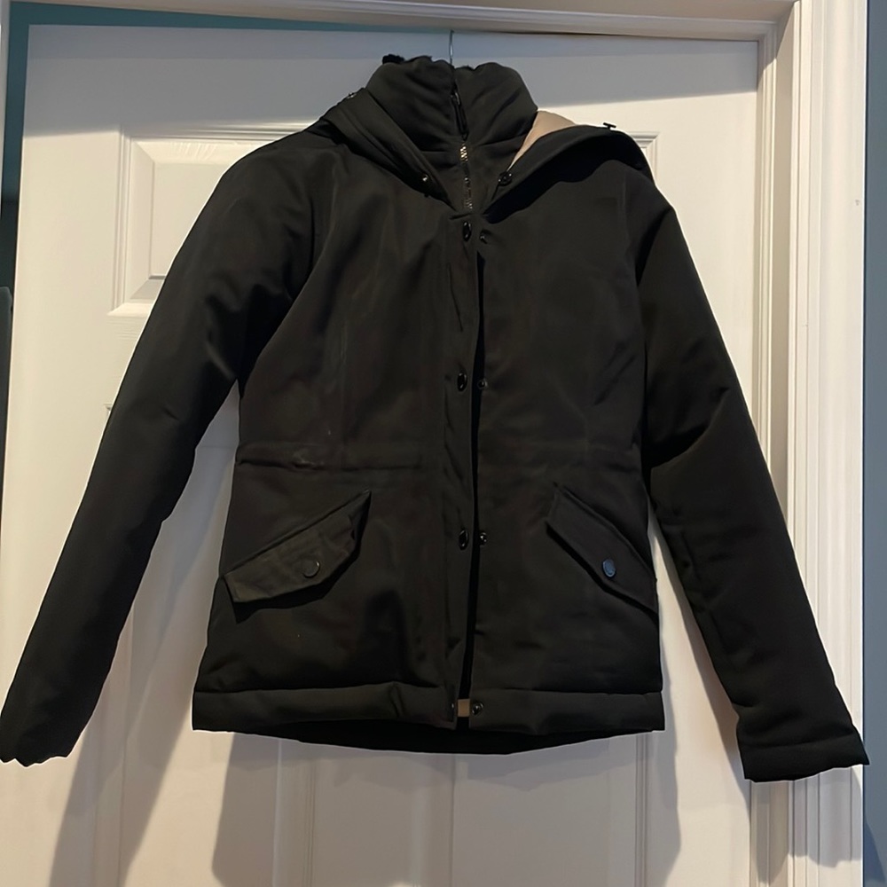 Hollister Down Collection Winter Coat